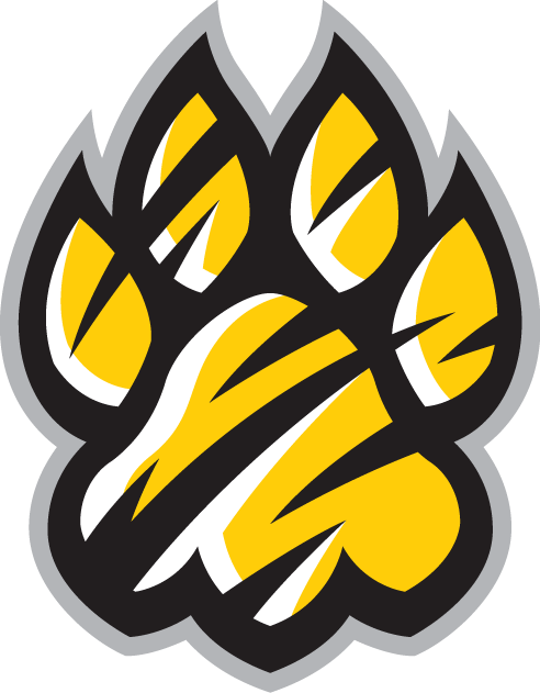 Towson Tigers 2004-Pres Alternate Logo iron on paper